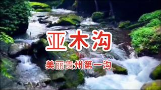 9170官方金沙入口